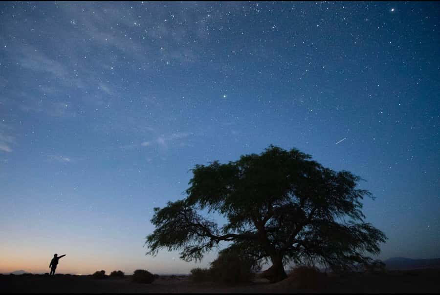 Antofagasta: Astronomical Tour with a Guide - Guide quality can shape the whole evening