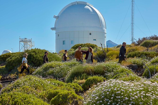 Astronomic Small-Group Tour on Tenerife Teide Observatory - Who will enjoy this most?