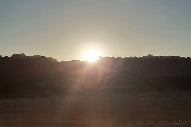 ATV horse stargazing - ATVs through the desert and mountain echoes