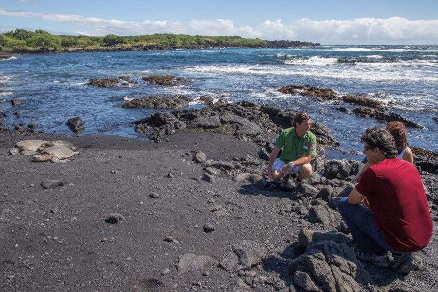 Big Island, Hawaii: Volcano and Stargazing Tour with Dinner - Hawaii Volcanoes National Park at twilight