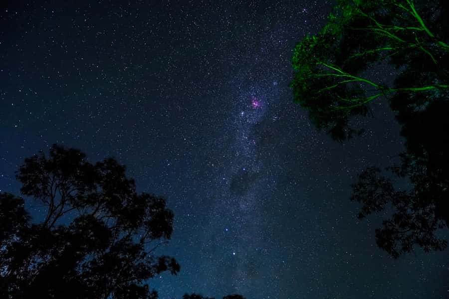 Blue Mountains: Stargazing with a Telescope and Astronomer - Telescope queues and group size