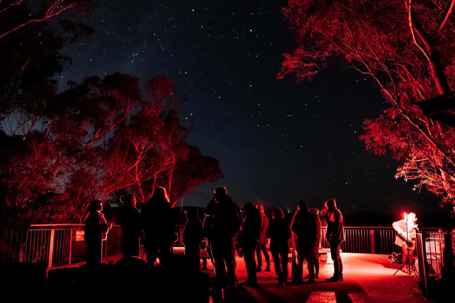 Blue Mountains: Stargazing with a Telescope and Astronomer - How the $65 price measures up