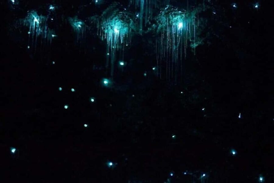 Brisbane: Glow Worms, Sunset, Star Gazing & BBQ - The telescope is the evening’s strongest feature