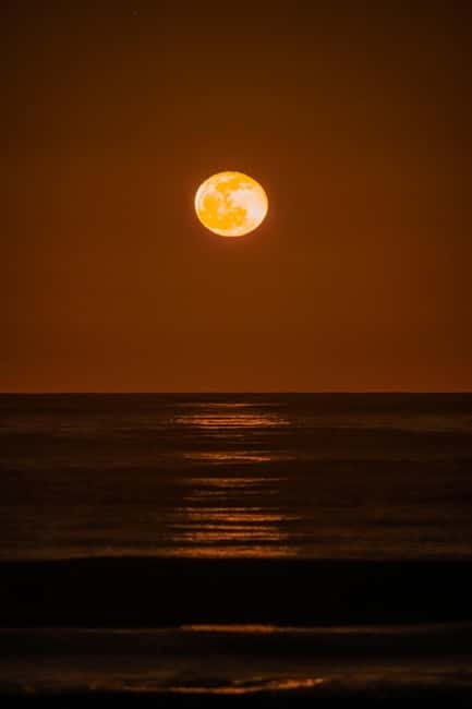 Cabo de Gata: Guided Night Walk with Stargazing - Who will enjoy this night walk most