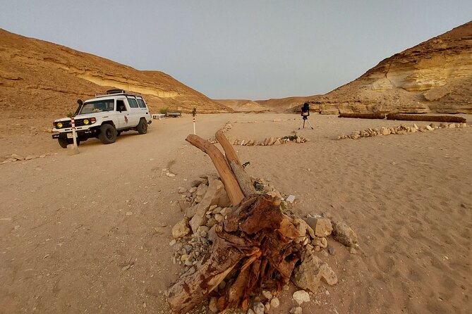 Camel Ride, Bedouin Dinner & Stargazing in 4X4 Jeep Safari in Hurghada - Why this Hurghada desert evening works