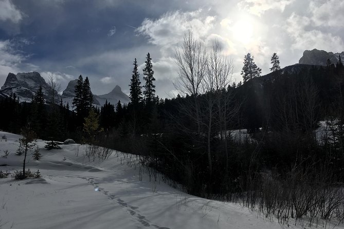 Canmore: Stargazing and Nature by Nightfall Walking Tour - 2hr - What Cloudy Weather Means for the Experience