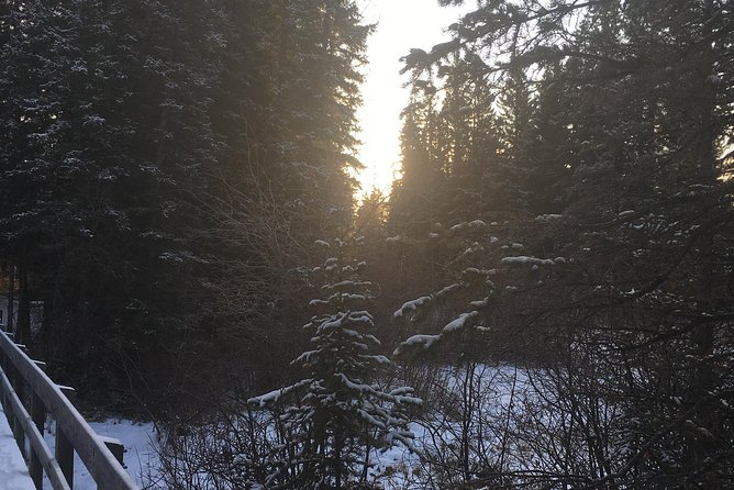 Canmore: Stargazing and Nature by Nightfall Walking Tour - 2hr - Should You Book the Canmore Stargazing Walk?