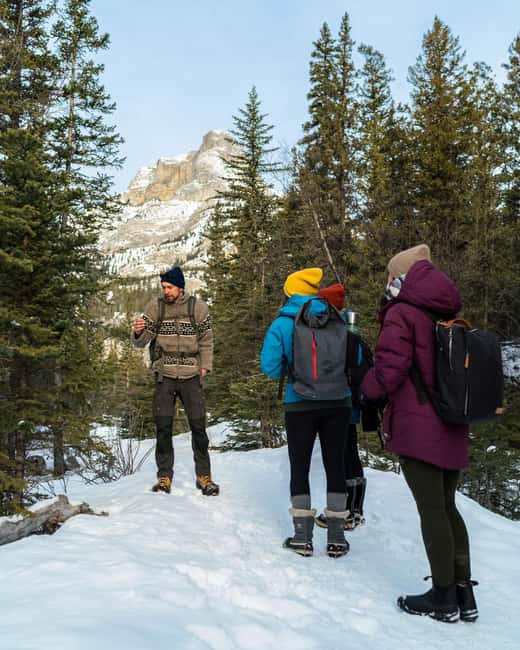 Canmore: Stargazing and Night Adventure - Should you book the Canmore stargazing tour?