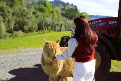 Christchurch: Lake Tekapo Stargazing & Mount Cook 2-Day Tour