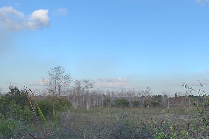 Dark Sky's in the Florida Everglades - What the local guides add to the ride