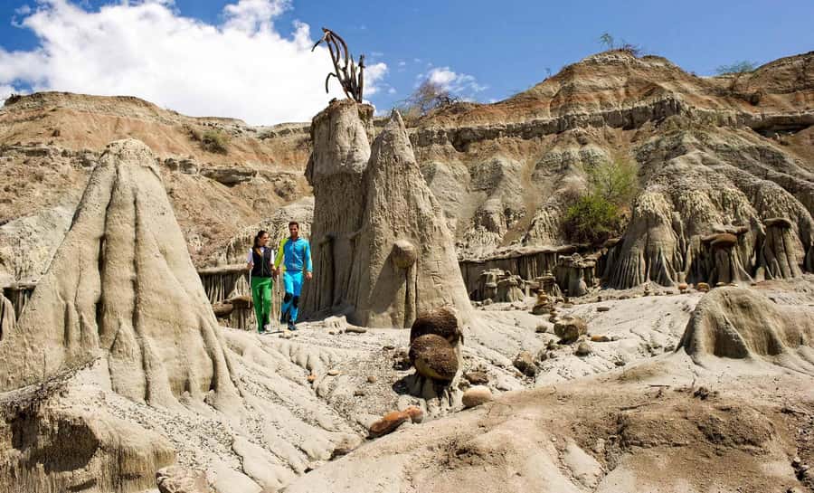 Day Trip to Tatacoa Desert (Horseback, Boat, Stargazing, ..) - Key things to know before booking