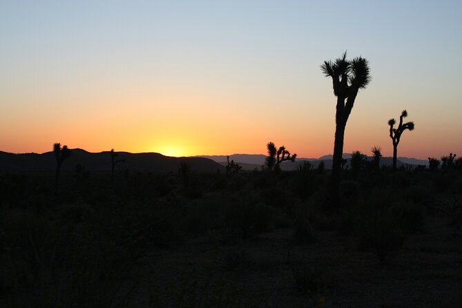 Death Valley Small Group Day Tour with Sunset and Stargazing - Furnace Creek Visitor Center sets the scene