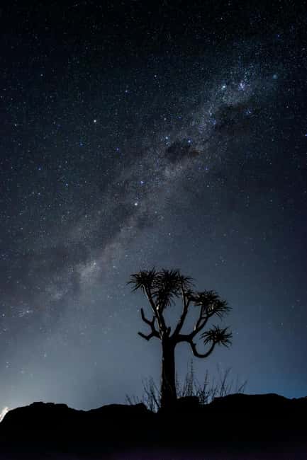 Doha: Night Desert Safari, Stargazing, and Camel Ride - Stargazing after the city lights disappear