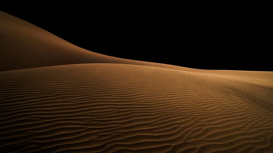 Doha: Night Desert Safari, Stargazing, and Camel Ride - Who will get the most from this evening
