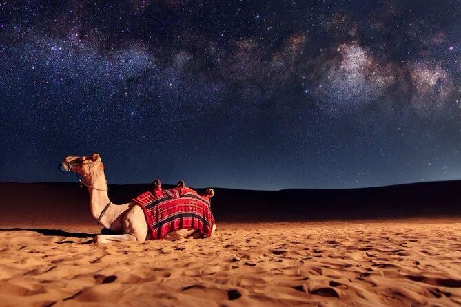 Doha Night Desert Safari Stargazing Camel Ride and Dune Bashing - Leaving Doha for the Qatari desert
