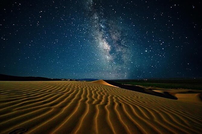 Doha Night Desert Safari Stargazing Camel Ride and Dune Bashing - Camel riding and tea at Sealine Beach