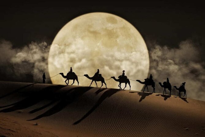 Doha Night Desert Safari Stargazing Dune Drive Camel Ride - Dune bashing supplies the main rush
