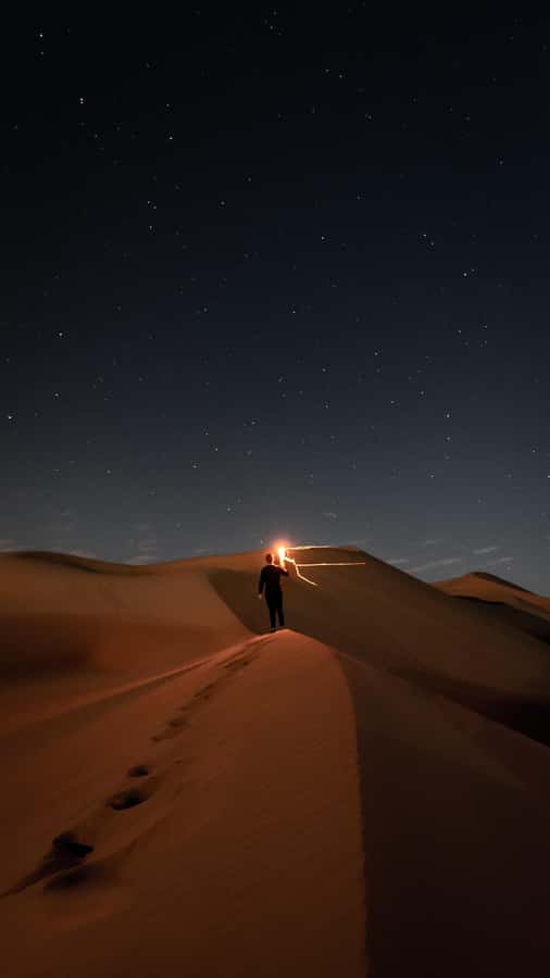 Doha: Night Desert Safari, Stargazing, Dune Driving &Inland - Mesaieed, tea, camels, and the first taste of desert life