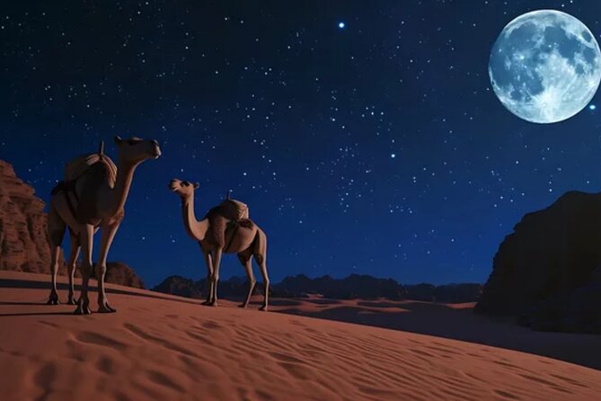 Doha Night Desert Safari, Stargazing, Photography، Relaxation - Camel Ride or a Faster Desert Activity