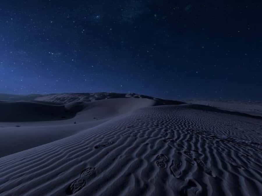 Doha: Night Desert Safari with Stargazing & Camel Ride - Camel camp, Arabic tea, and a short taste of Bedouin life