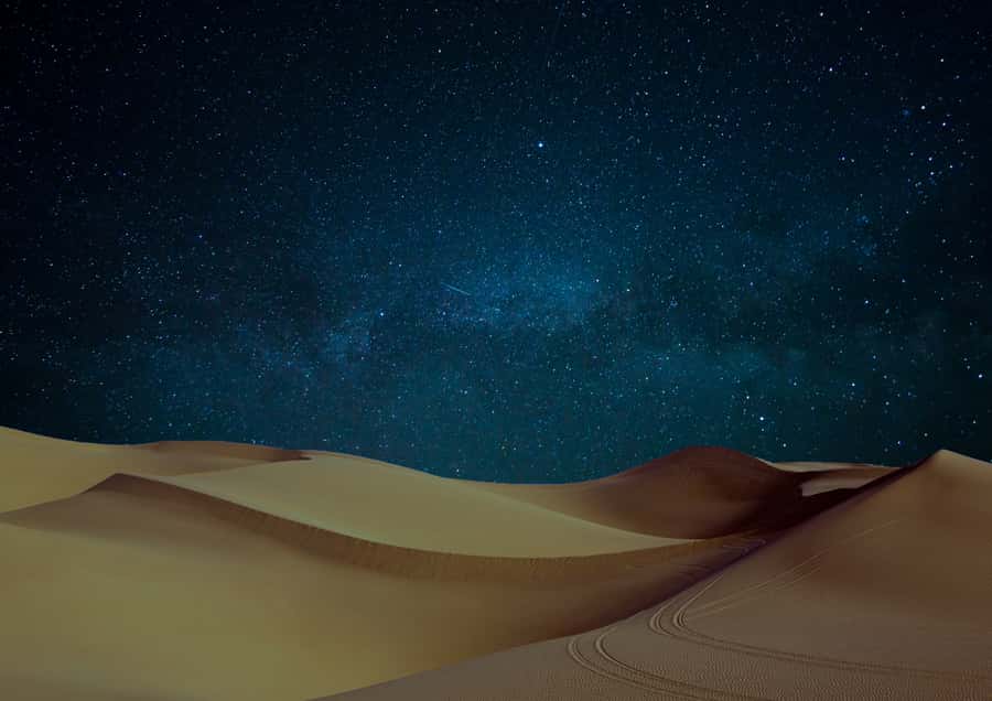 Doha: Night Desert Safari with Stargazing & Camel Ride - The 100-minute dune-bashing run