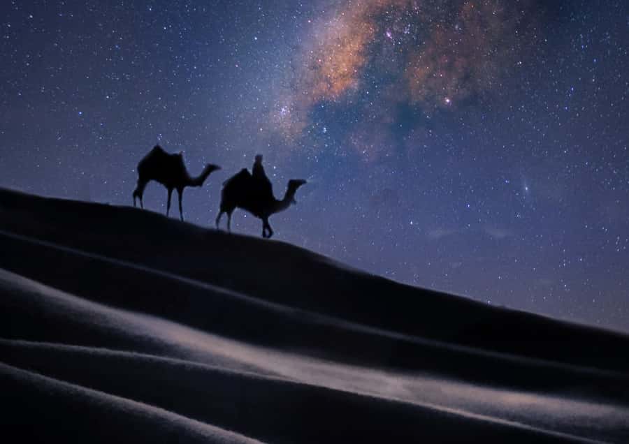 Doha: Night Desert Safari with Stargazing & Camel Ride - Who should book this desert safari