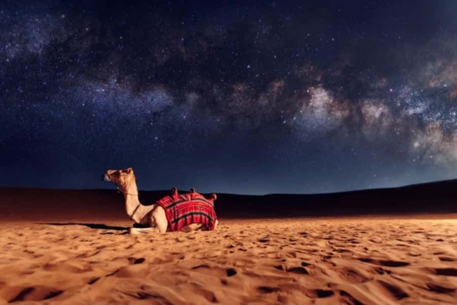Doha: Private Desert Safari at Night with Stargazing - Key points to know before booking