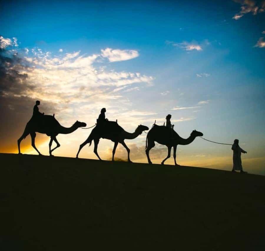 Doha: Stargazing Desert Safari w/ Dune Bashing & Camel Ride - Why the night desert works so well