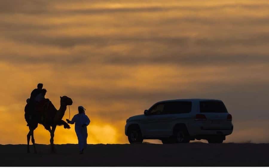Doha: Stargazing Desert Safari w/ Dune Bashing & Camel Ride - Ash Shaqra brings the camels and sand
