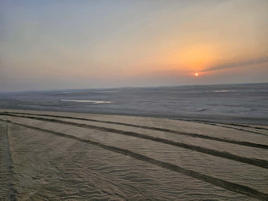 Doha Sunrise/Sunset or Night Stargazing desert safari. - Key points at a glance