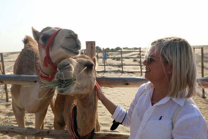 Dubai: Al Marmoom Oasis Vintage Safari: Camels, Stargazing & Meal - A Bedouin welcome with coffee and sweets