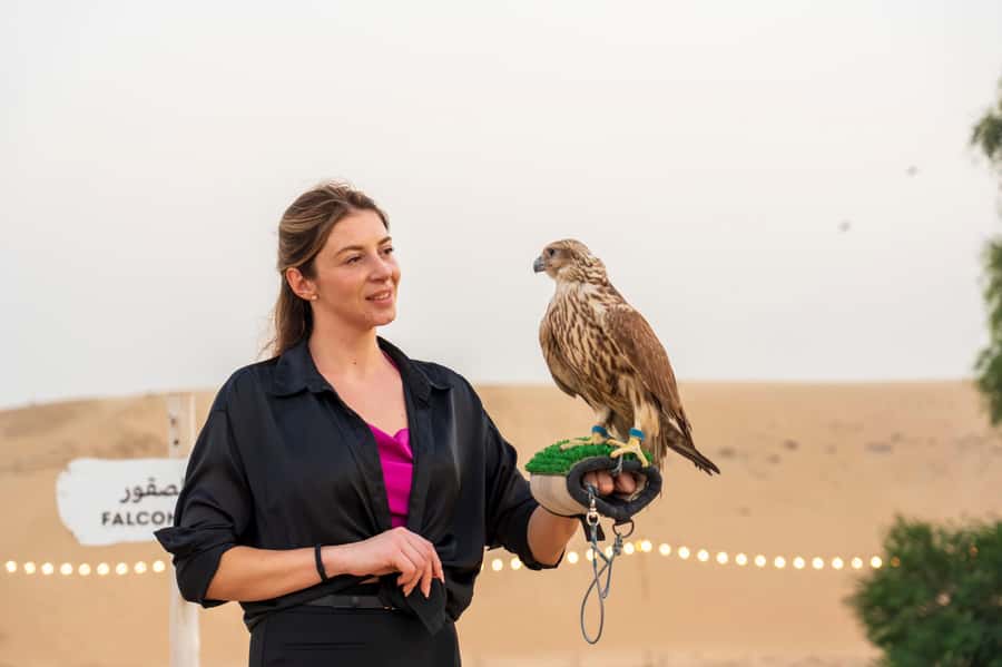 Dubai: Evening Desert Safari with Camel Ride & Stargazing - Who should book this safari?