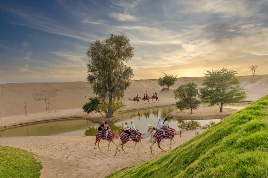 Dubai: Overnight Safari with Luxury Dome Stay & Stargazing - Camel walking at sunset feels slower and more personal