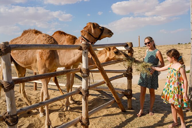 Dubai: Sunset Camel Trek, Al Khayma Camp, Stargazing & BBQ - Horses, Yola dancing and the big fire show