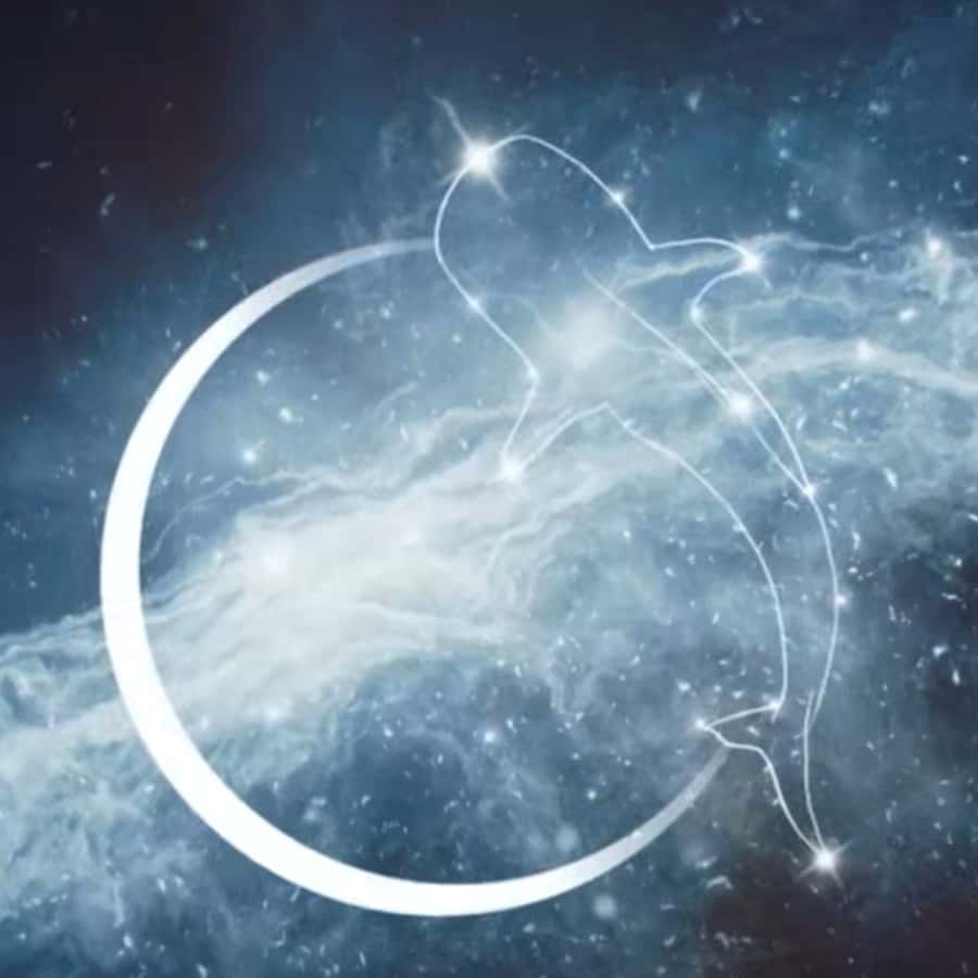 Esperance: Astronomy Night Experience - Starting in Esperance under a proper dark sky
