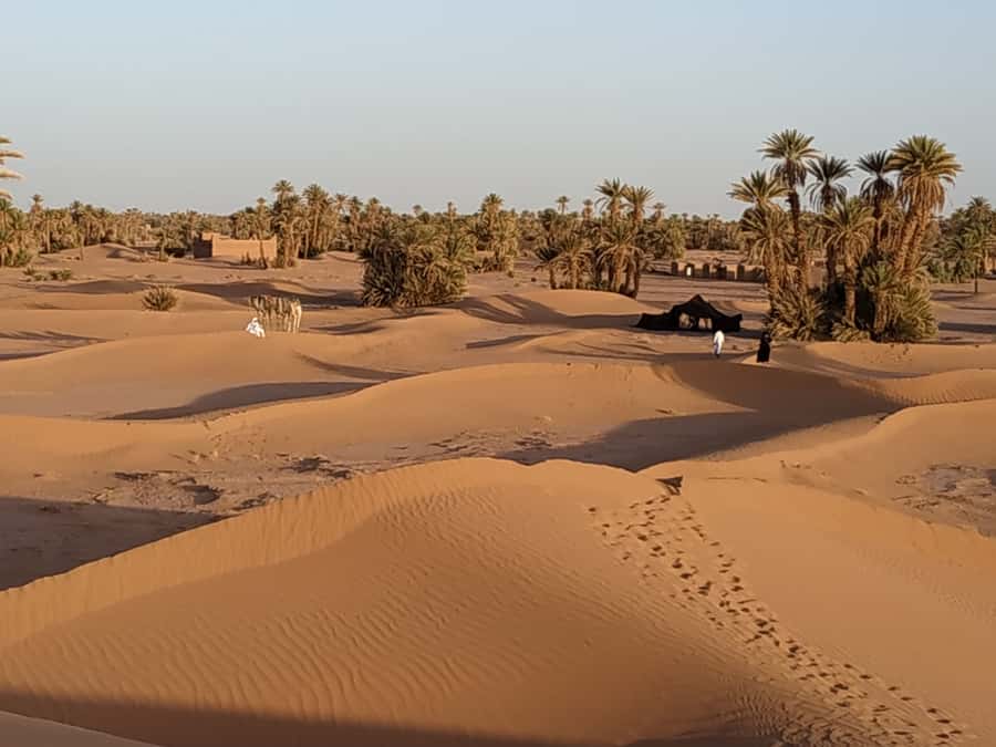 From Marrakech: Private Chegaga Desert Star Gazing 4WD Tour - Guides, drivers, and the private format