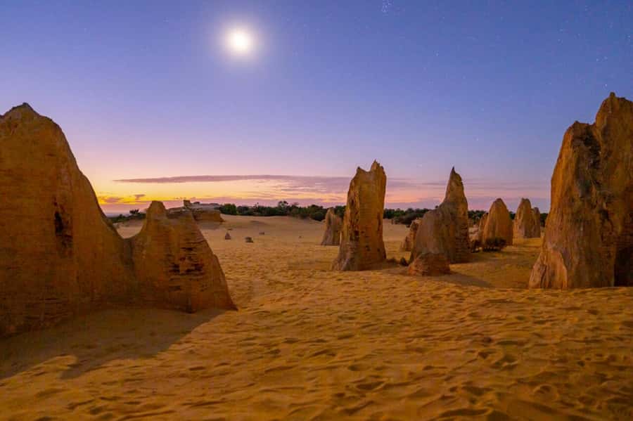 From Perth: Pinnacles Sunset and Stargazing Tour with Dinner - Dinner in the desert