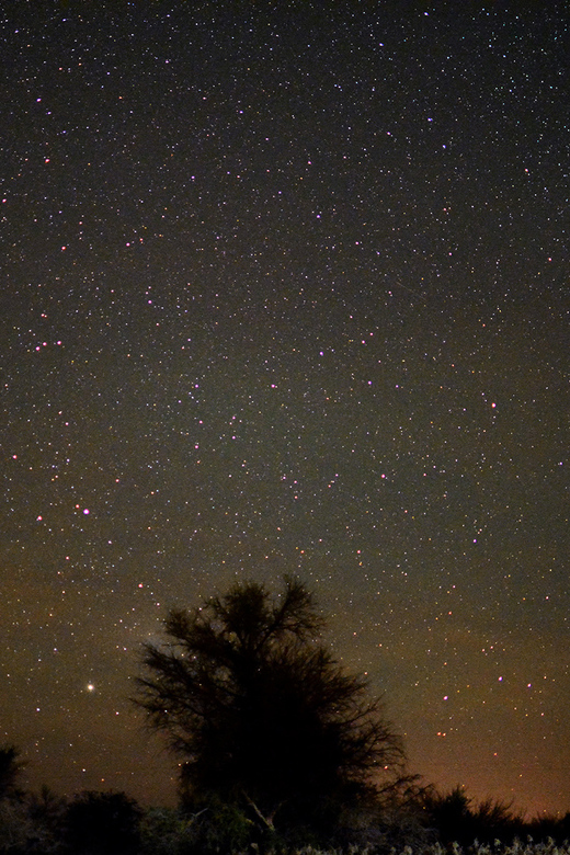 From San Pedro de Atacama: Astronomy Tour - Is $50 a fair price?