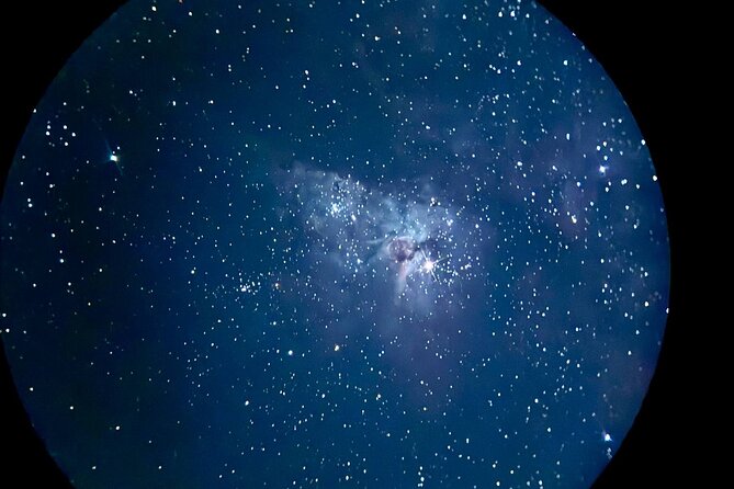 Gold Coast: Glow Worms, Sunset & Stargazing with BBQ dinner - Inside the Glow Worm Caves on Tamborine Mountain