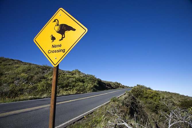 Haleakala Sunset and Stargazing Audio Tour - Red Hill is the sunset centerpiece
