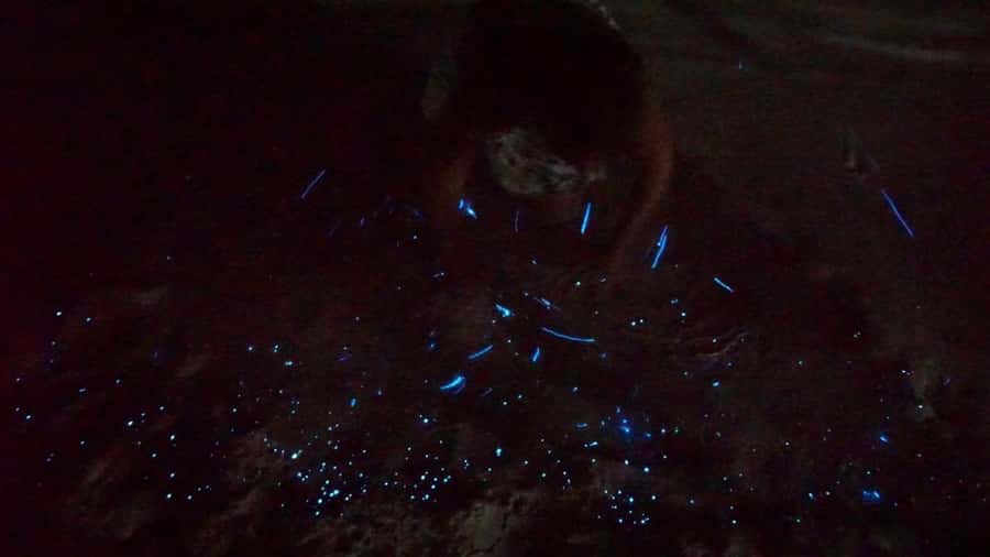 Holbox: Bioluminescence by Kayak and Stargazing. - Stargazing without the city lights