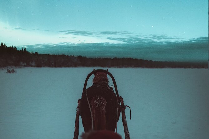 Horse Sleigh Ride Under The Night Sky in Apukka Resort, Rovaniemi - Why a night sleigh ride feels different in Rovaniemi