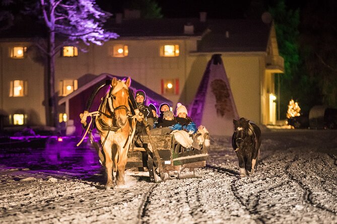 Horse Sleigh Ride Under The Night Sky in Apukka Resort, Rovaniemi - Watching for the northern lights