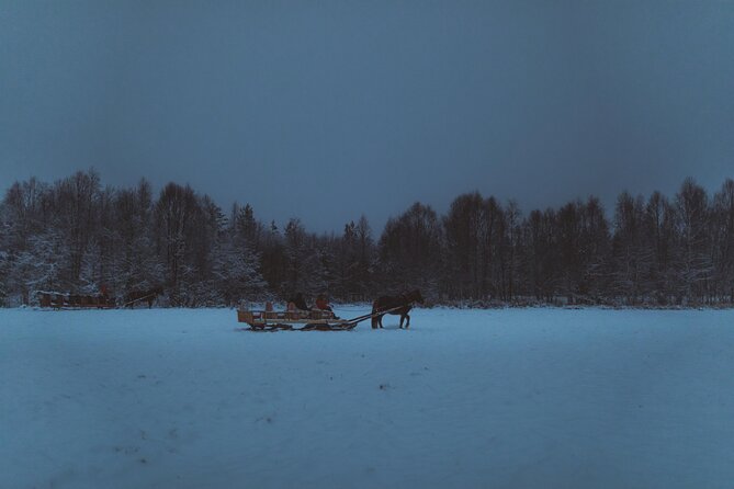 Horse Sleigh Ride Under The Night Sky in Apukka Resort, Rovaniemi - Warm clothing, blankets, and the reality of Arctic cold
