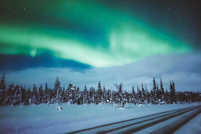 Horse Sleigh Ride Under The Night Sky in Apukka Resort, Rovaniemi - Is $184.06 a fair price?