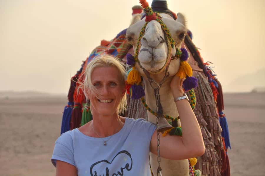 Hurghada: BADU Camp Camel Ride, Dinner, & Stargazing - Key details before you book