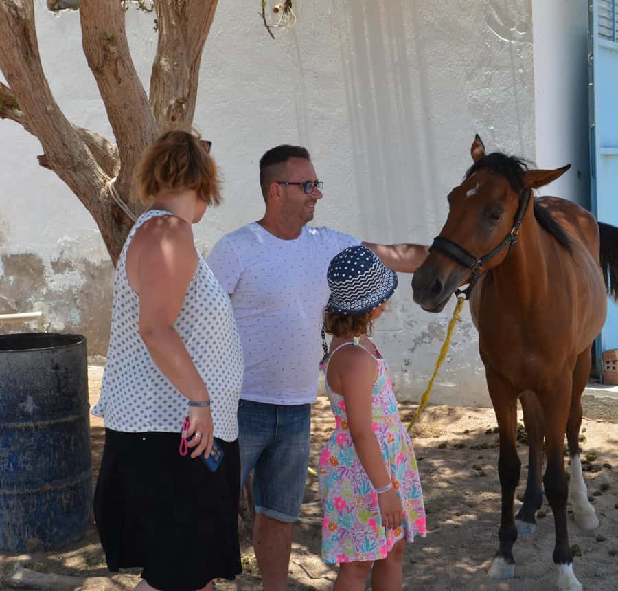 Hurghada: BADU Camp Camel Ride, Dinner, & Stargazing - Should You Book the BADU Camp Evening?