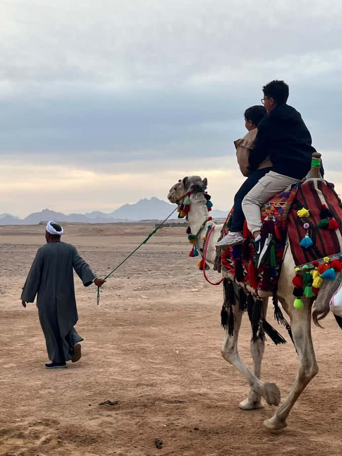 Hurghada: BADU Camp Camel Ride, Dinner, & Stargazing - Arriving at Camp With Coffee and Dates