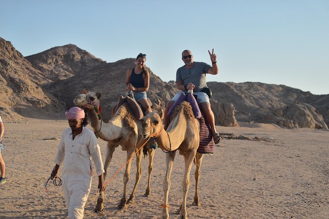 Hurghada Desert Sunset & Stargazing Tour with Dinner by Jeep - Camel photographs and Bedouin tea