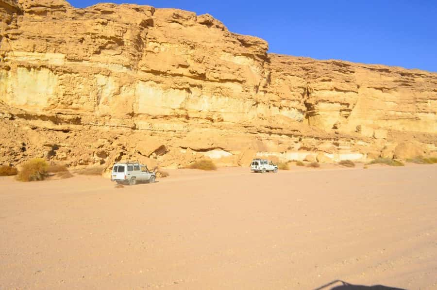 Hurghada: Hiking , dinner & stargazing - The oasis camp, animals, plants, and camel ride